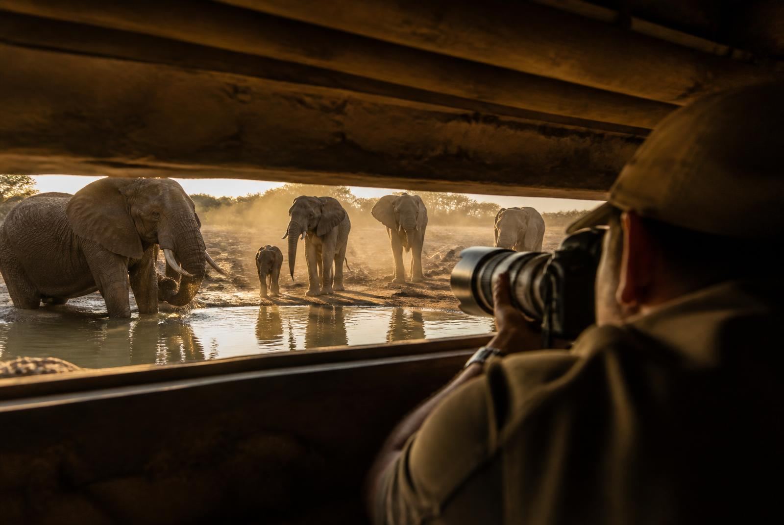Photographer in an underground hide level with elephants drinking at a Hwange waterhole