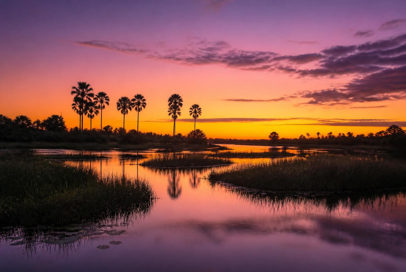 Calm channels of the upper Zambezi River glowing at dusk