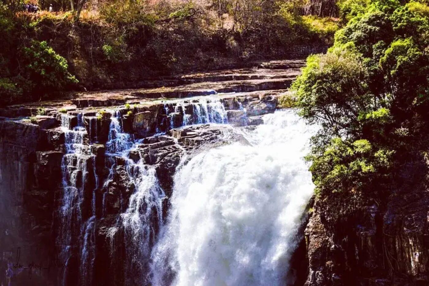 Water thundering over the basalt lip of Victoria Falls seen from a rainforest viewpoint